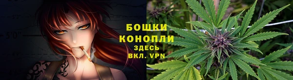 наркотики Бородино