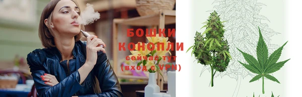 наркотики Бородино
