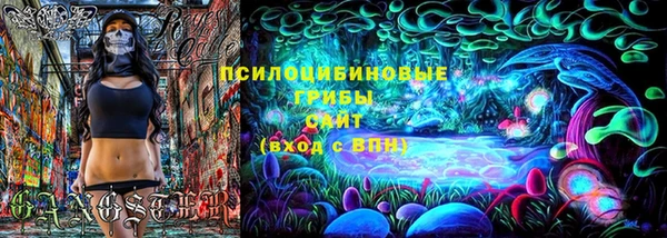наркотики Бородино