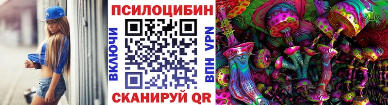 закладки  Череповец  Галлюциногенные грибы MAGIC MUSHROOMS 