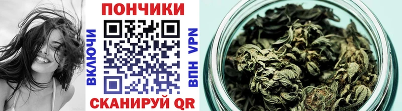 Бошки Шишки план Череповец